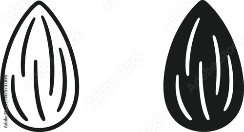 Two almonds a black and white illustration of nutritious seeds