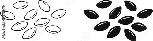 Sketch of sunflower seeds a comparison of light and dark varieties