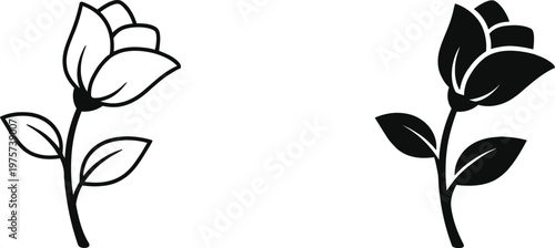 Elegant magnolia blossom illustrations a minimalist botanical study in black and white