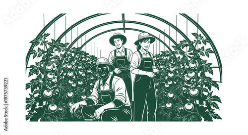 Green Monochrome Illustration of Farmers Harvesting Fresh Organic Tomatoes in a Large Greenhouse