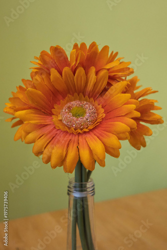 orange flower in vase