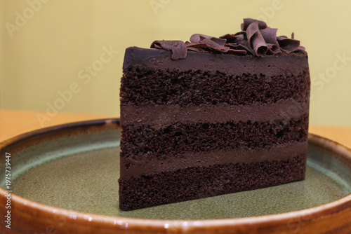 piece of layered chocolate cake