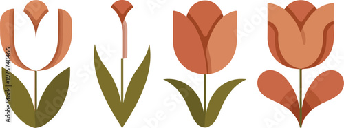 Minimalist tulip flower illustration set with four stylized blooms in terracotta and peach tones horizontal arrangement