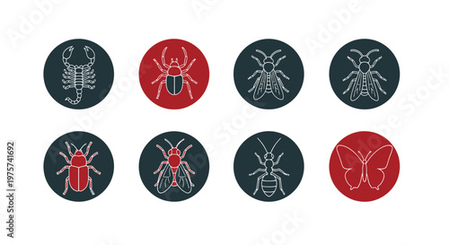 Clean line art insect and bug vector icons set