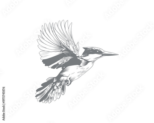 elegant minimalist phoenix bird line art illustration on gray background for branding and design