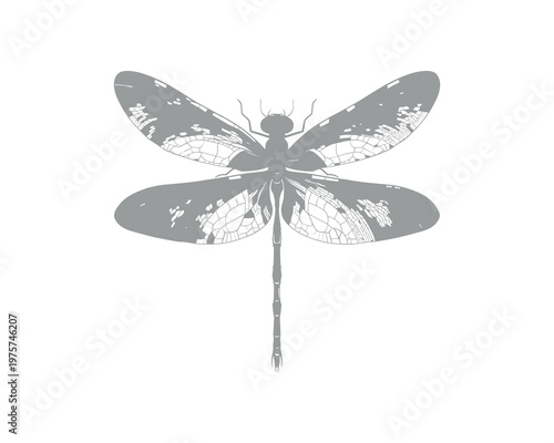 Isolated blue crab illustration on white background for seafood and marine life design