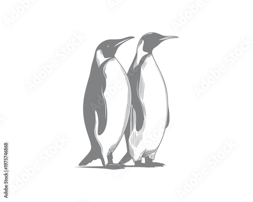 Mother kangaroo with joey in pouch minimalist line art illustration for wildlife education