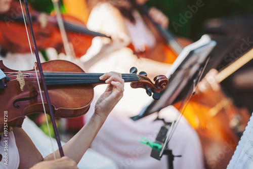 Canvas-taulu In a serene garden, talented musicians passionately play their string instrument