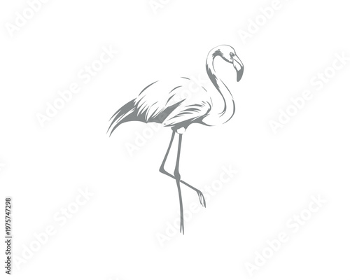 Elegant black and white line art of a flamingo standing on one leg, minimalist wildlife illustration