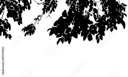 Black silhouette of tree leaves and branches hanging from the top against a isolated background. Clean, minimalist nature frame for graphic design and creative overlays.