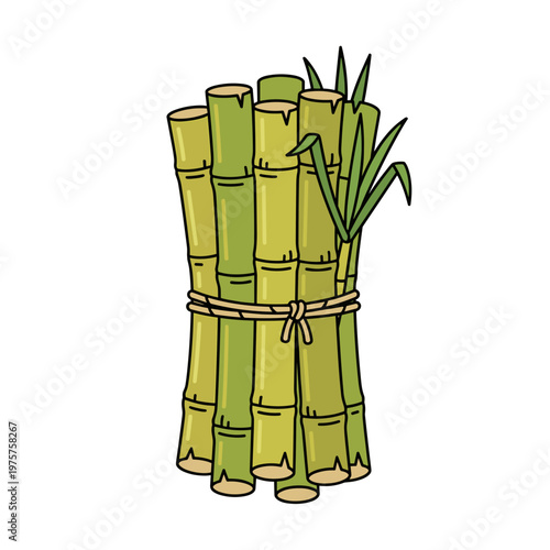 Sugarcane bundle cartoon isolated illustration