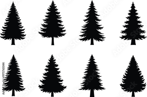 Coniferous tree silhouette set, evergreen forest illustration, pine tree artwork, botanical nature design, decorative landscape element, stylized foliage drawing collection