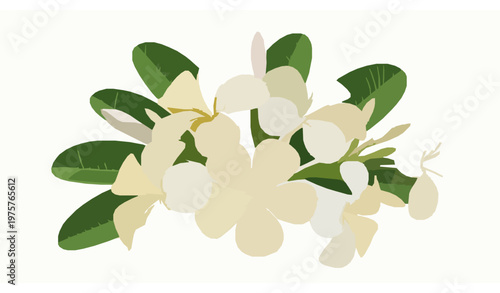 Minimal Frangipani Flower Elements Flat Vector Tropical Spa Beauty Floral Design Set