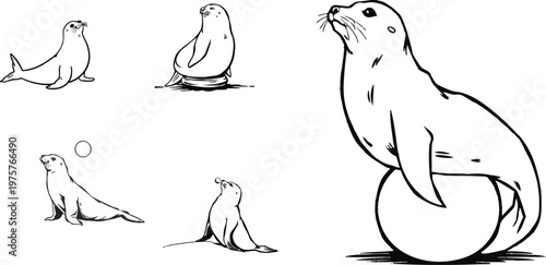 Playful Seal Balancing Ball Outline Illustration with Clean Stroke Lines Depicting Circus or Marine Performance Scene Isolated on a White Background for Minimalist, Animal, and Fun Design Projects