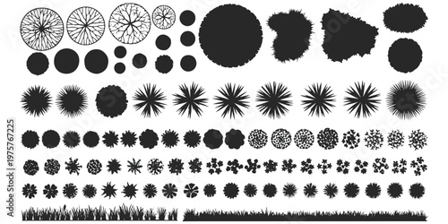 Bild auf Leinwand A comprehensive collection of black and white top-down architectural tree and plant symbols set