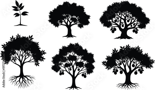 Tree growth stages silhouette, sapling to mature fruit tree, black vector icons, abstract nature illustration, decorative design elements, isolated foliage set
