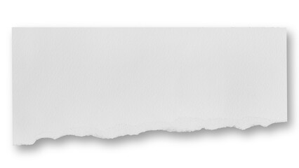Rectangle white cardboard with rough torn edges and soft drop shadow. Isolated on transparent background perfect for clean notes labels and minimalist web design layouts