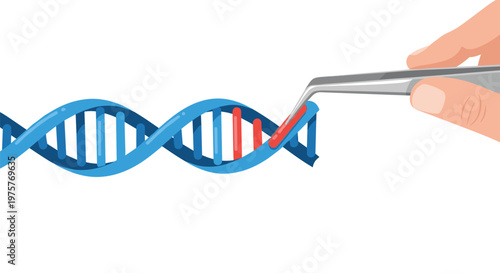 A pair of metallic tweezers held by a hand is carefully placing a red segment into a blue DNA double helix structure on a pristine white background area.