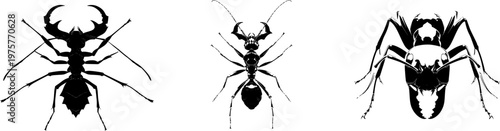 A strikingly detailed black Army ant silhouette with massive mandibles stands against a crisp white background, showcasing its intricate design in minimalist vector art