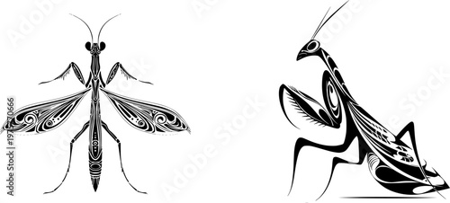 A bold Art Nouveau praying mantis with intricate black patterns on a solid white background, isolated against a flat 2D surface for vectorization