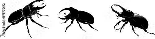 A detailed Hercules beetle illustration showcases a stark black silhouette with crisp high-contrast edges in a flat vector style, isolated on a pure white background, perfect for tracing