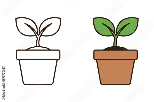 Plant Growth Illustration with Potted Seedlings