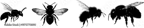 A detailed mason bee nesting profile in a stark black silhouette, rendered in a flat vector style with crisp high contrast edges, isolated on a pure white background for minimalist stencil design