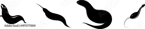A detailed planarian flatworm split head, stark black silhouette, in a minimalist stencil design with crisp high-contrast edges isolated on pure white background