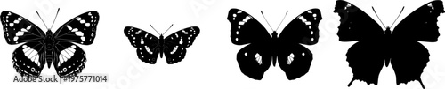 A detailed purple emperor butterfly rests in a stark black silhouette, rendered in flat vector style with crisp high-contrast edges on a pure white background