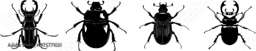 A detailed rhinoceros beetle illustration in a flat vector style, featuring stark black silhouette with crisp high-contrast edges on a pure white background, minimalist stencil design ready for
