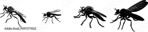 A detailed robber fly dynamic attack illustration in a flat vector style, showcasing its stark black silhouette against a pure white background with crisp high contrast edges and minimalist stencil