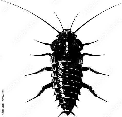 A detailed silverfish illustration in a primitive form showcases its stark black silhouette against a pure white background with crisp high contrast edges, ideal for auto tracing purposes