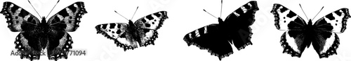 A detailed Small Tortoiseshell butterfly in a flat vector style, isolated on pure white background with crisp high contrast edges, minimalist stencil design, ready for tracing