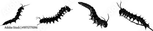 A detailed sphinx moth caterpillar dynamically poses with a stark black silhouette against a pure white background, showcasing crisp high contrast edges in a minimalist stencil design