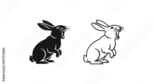 Cartoon Rabbit Symbols Yin Yang Opposites Design Vector