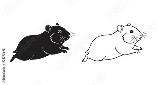 Hamsters Cute Rodents Guide  Care Tips Vector