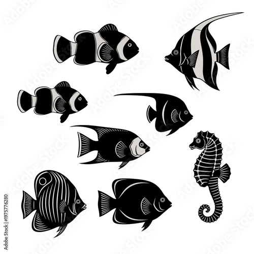 Diverse black and white marine life collection: tropical fish and seahorse vector illustration