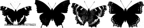 A minimalist stencil butterfly illustration with elegant baron edges in stark black silhouette against a pure white background