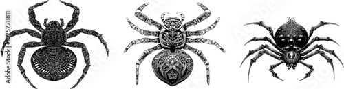 An elegant diving bell spider is depicted in an intricate, black ink outline on a solid white background, showcasing its symmetrical symmetry with clear boundaries and monochrome coloring book style