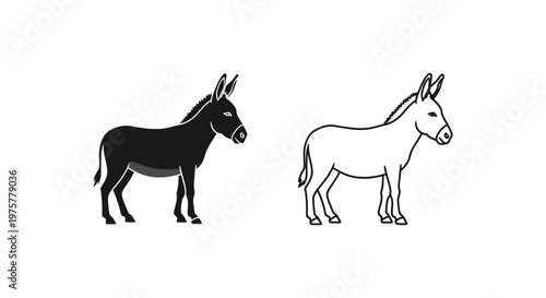 Donkey Breeds Comparison Guide Vector