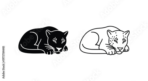 Black and Spotted Leopard Cats Comparison Vector