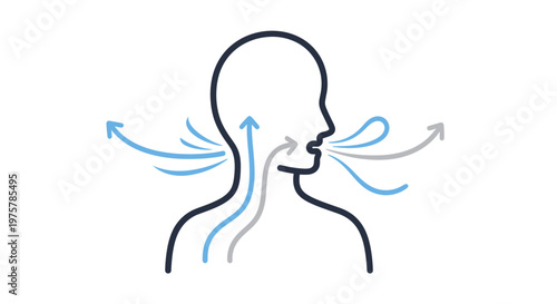 Person breathing with arrows illustrating air flow in and out through nose and mouth