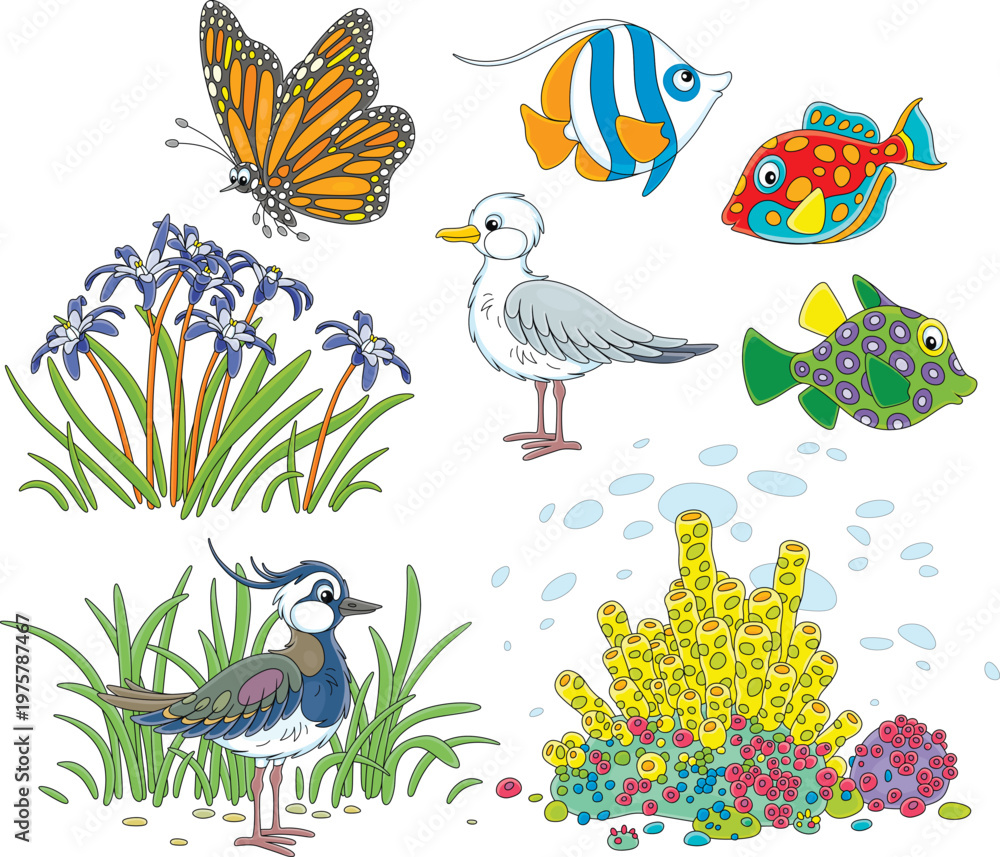 Obraz premium Butterfly flying over beautiful wildflowers, seagull, tropical fishes, corals and lapwing among grass on seashore, a set of vector cartoon illustrations isolated on a white background