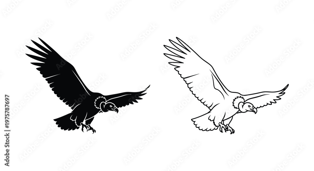 Fototapeta premium Eagle Symbols Black White Vulture Illustrations Vector
