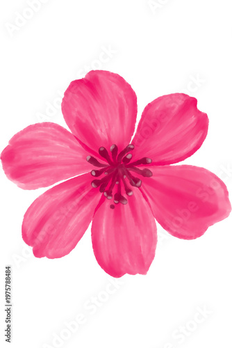 Colorful Watercolor Flower Isolated  Soft Floral Illustration with Delicate Petals and Natural Stem
