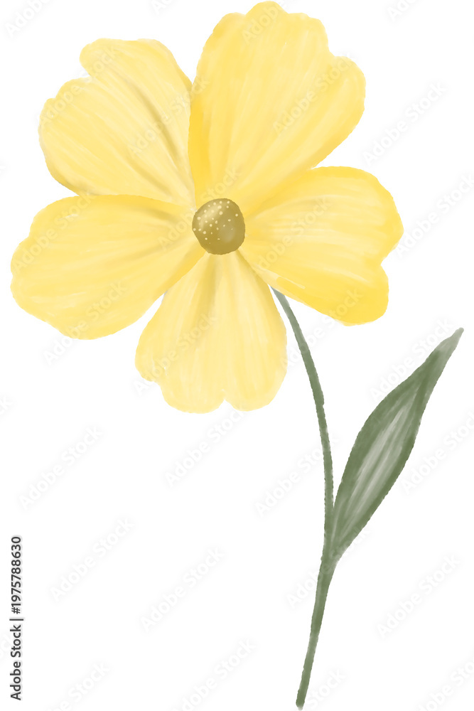 Obraz premium Colorful Watercolor Flower Isolated Soft Floral Illustration with Delicate Petals and Natural Stem