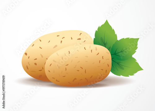 Potato with leaves, Fresh organic vegetable in flat style,  vector illustration.