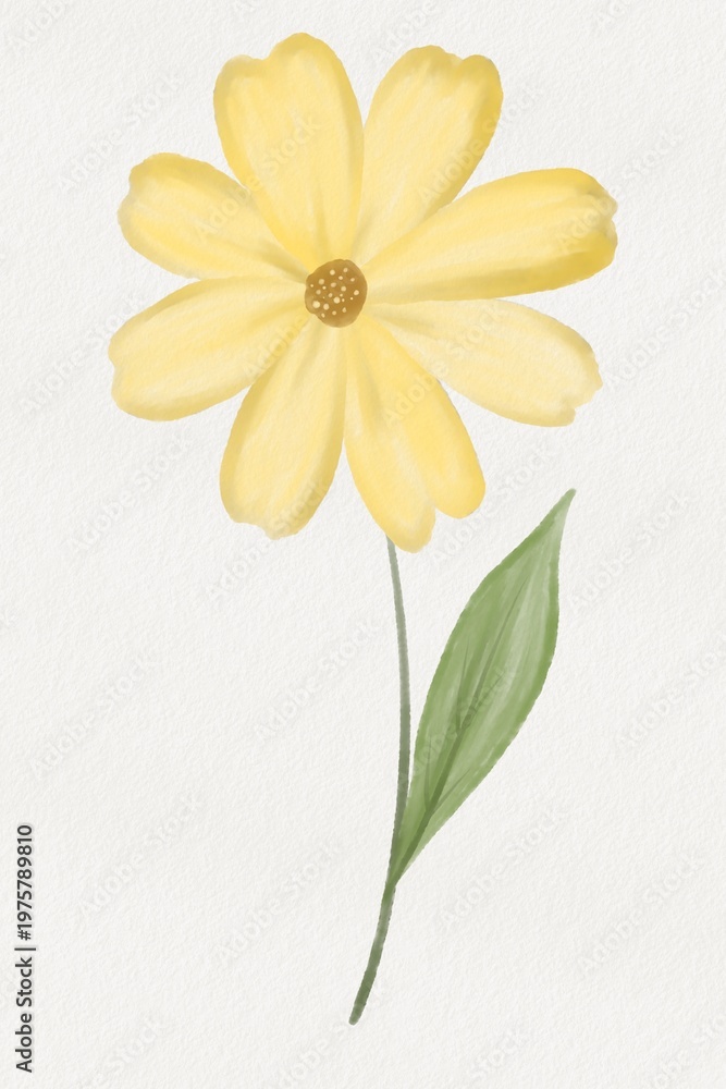 Obraz premium Colorful Watercolor Cosmos Flower Isolated, Soft Floral Illustration with Delicate Petals and Natural Stem On White Paper