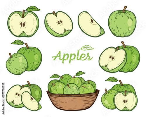 Green apples set, whole, quarter, half, cut in pieces, in a bowl, snack fruit collection, colourful, hand-drawn illustration, line art contour, isolated
