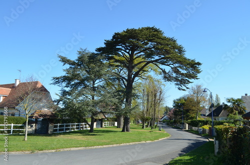 Colleville-Montgomery (Calvados - Normandie - France)